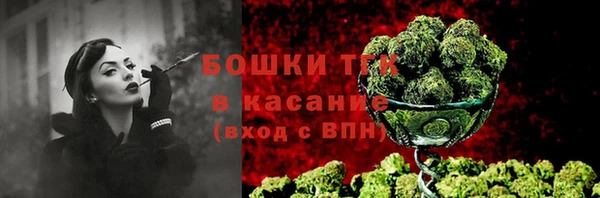 PSILOCYBIN Вязники