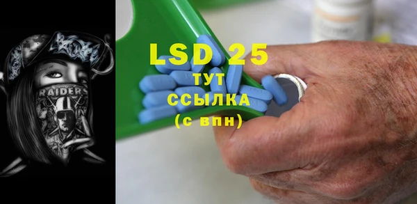 спиды Вяземский