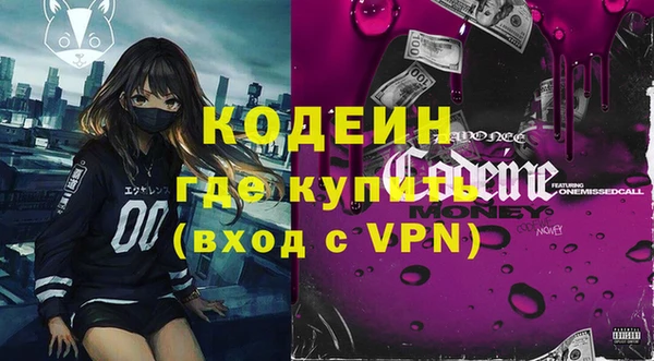спиды Вяземский