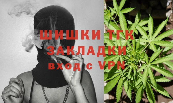 гашик Вязьма