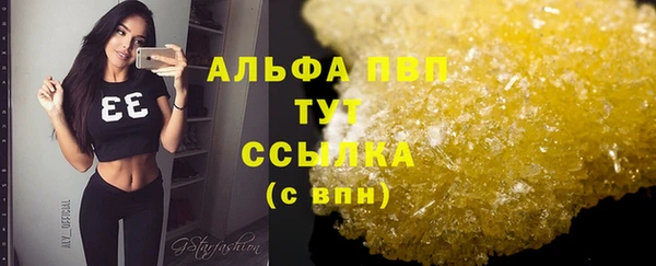 гашик Вязьма