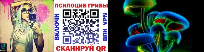 Псилоцибиновые грибы Psilocybe  Пласт 